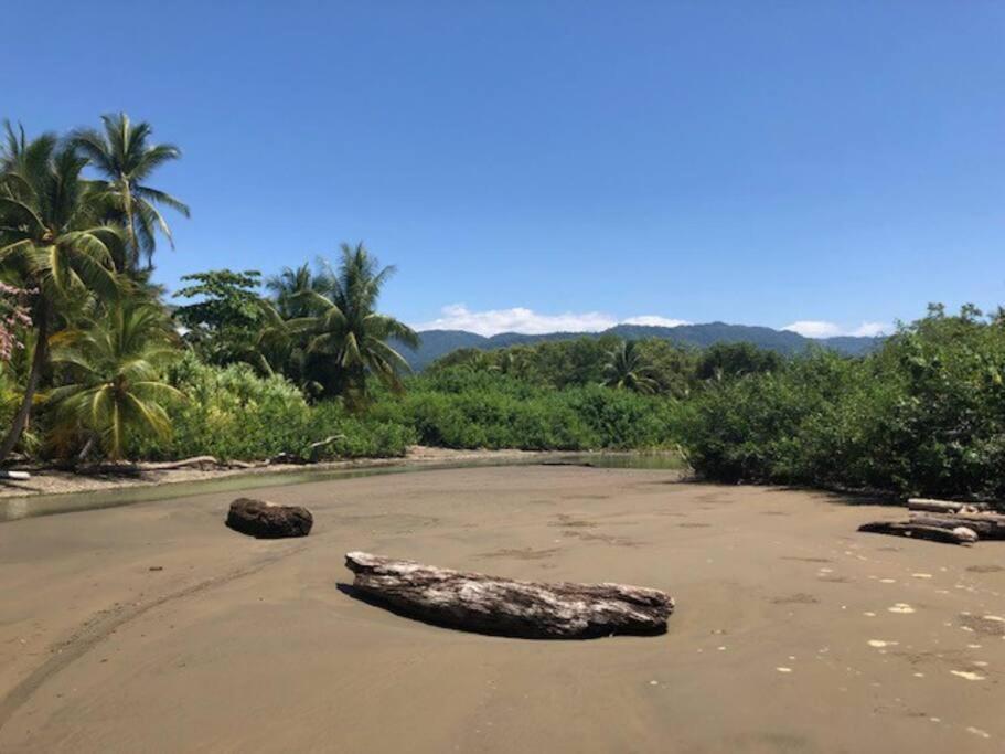 Casa Toucan Mit Privat Pool Near Np Ballena Увита Экстерьер фото