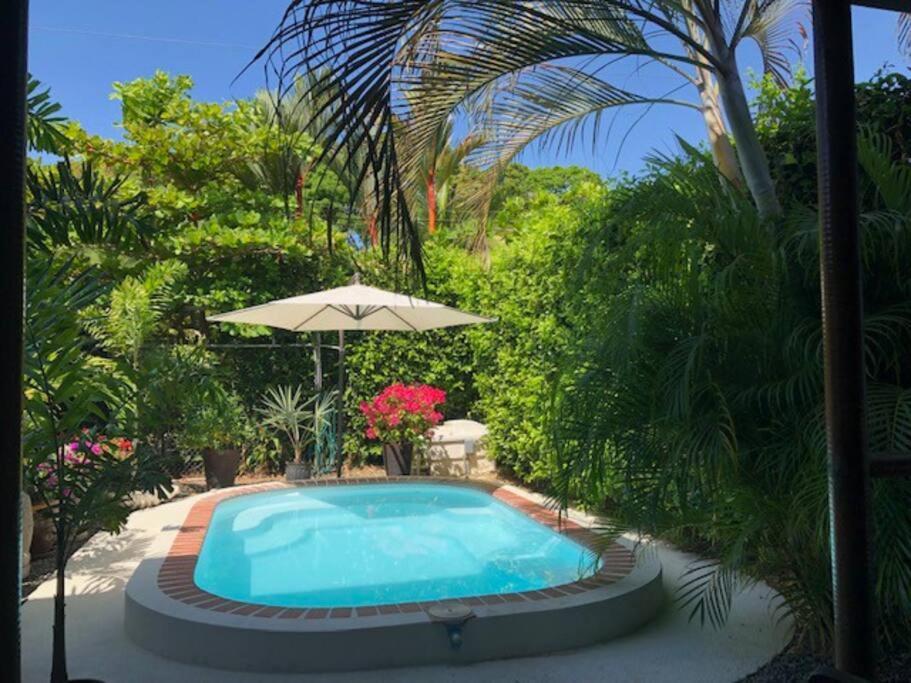 Casa Toucan Mit Privat Pool Near Np Ballena Увита Экстерьер фото